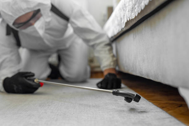Professional Bed Bug Control technician working in Bylas, AZ