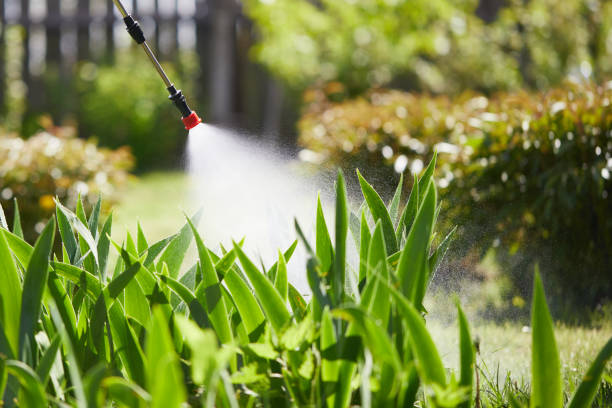 24/7 Emergency Bed Bug Control experts in Bylas, AZ